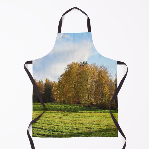 Item preview, Aspen corner.. Parkkuu 2024 designed and sold by Jouko Lehto Photography.