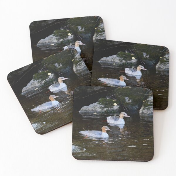 Item preview, Dark waters. Goosander designed and sold by Jouko Lehto Photography.