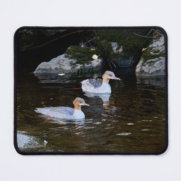 Item preview, Dark waters. Goosander designed and sold by Jouko Lehto Photography.