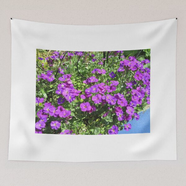 Item preview, Aubretia In My Garden designed and sold by lezvee.