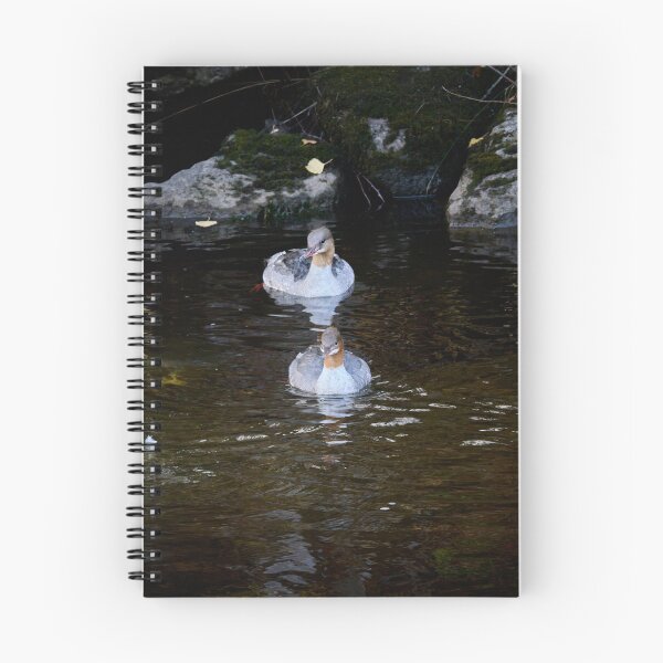 Item preview, Goosander square designed and sold by Jouko Lehto Photography.