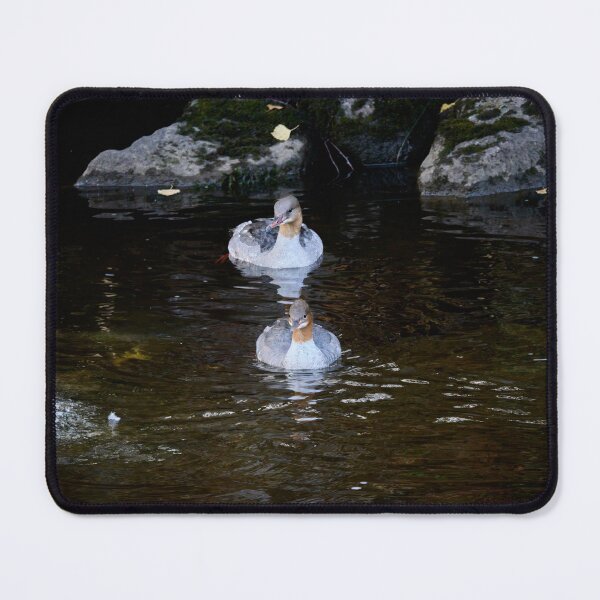 Item preview, Goosander square designed and sold by Jouko Lehto Photography.