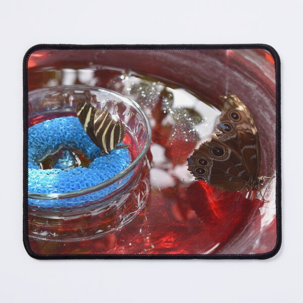 Item preview, Butterflies Having a Drink designed and sold by MangoSeeds.