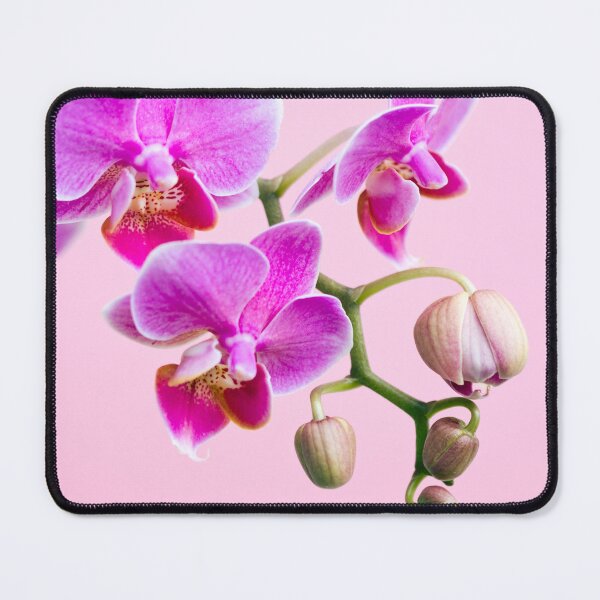 Item preview, Orchid designed and sold by Kenziewenze.
