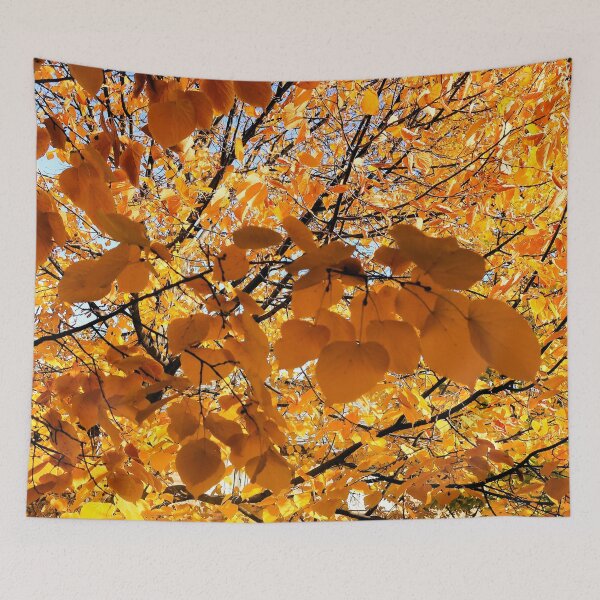 Item preview, Autumn Splendor designed and sold by TurquoiseBird.