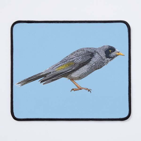 Item preview, Noisy Miner Color Design designed and sold by designsasstultd.