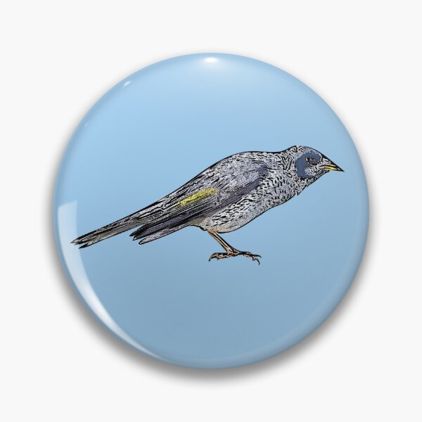 Item preview, Noisy Miner Black Alternate Design  designed and sold by designsasstultd.