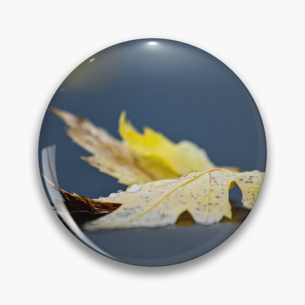 Item preview, Autumn Leaf on black designed and sold by SRosuphotos.