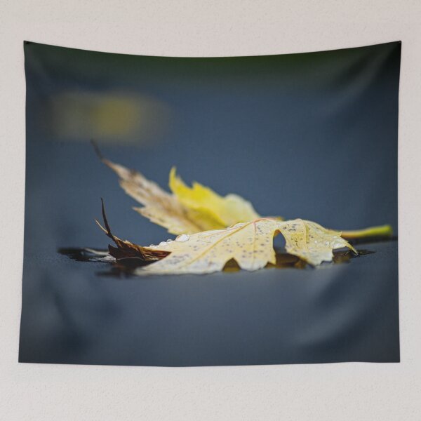 Item preview, Autumn Leaf on black designed and sold by SRosuphotos.