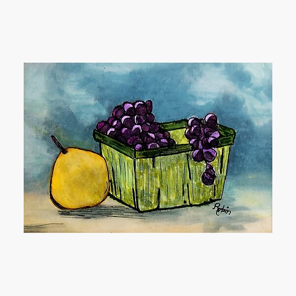 Grape Harvest Photographic Print