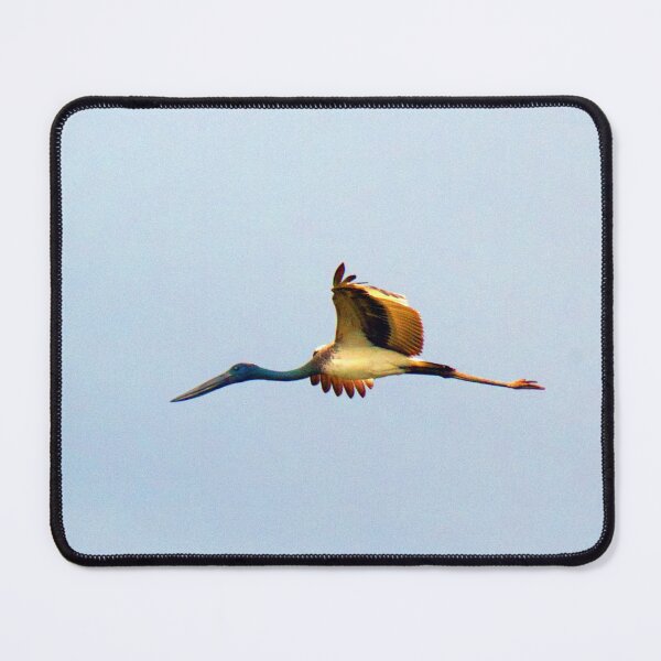Item preview, Black-necked Stork (Jabiru) in flight designed and sold by BirdsAlive.