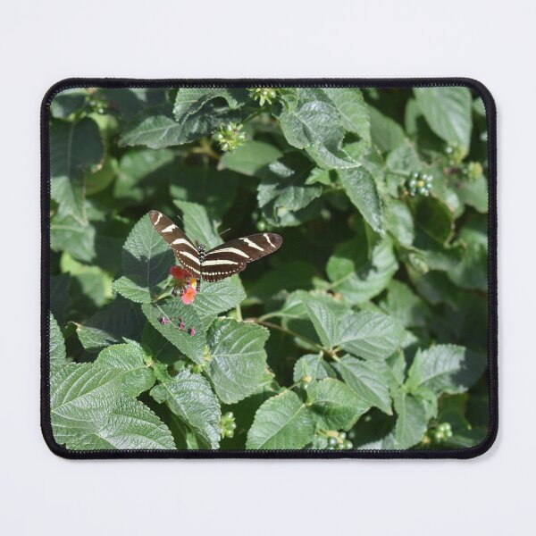 Item preview, Zebra Butterfly designed and sold by MangoSeeds.