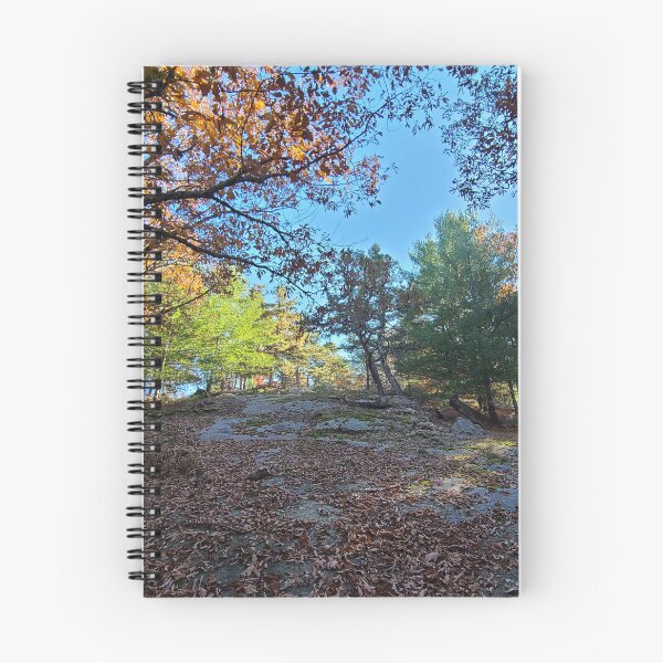 Item preview, Glorious Autumn Woods in the Afternoon designed and sold by asher-rose-fox.