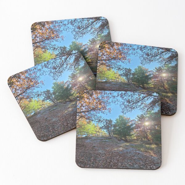 Item preview, Glorious Autumn Woods in the Afternoon designed and sold by asher-rose-fox.