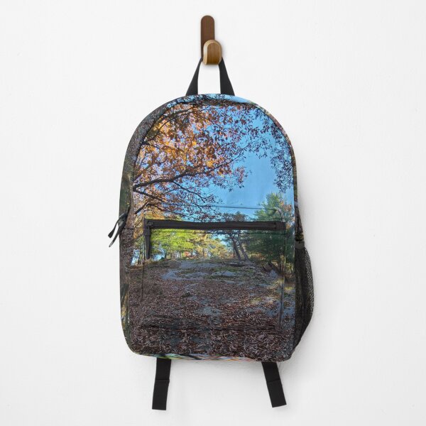 Item preview, Glorious Autumn Woods in the Afternoon designed and sold by asher-rose-fox.