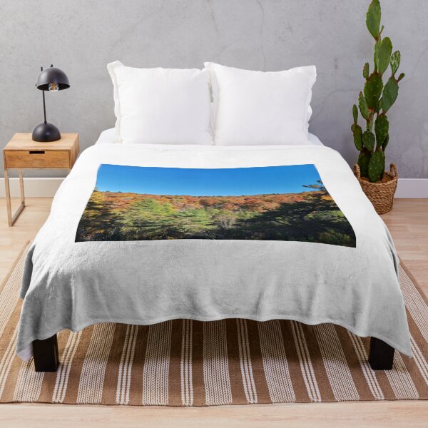 Item preview, Spectacular Autumn Woods and Blue Sky designed and sold by asher-rose-fox.