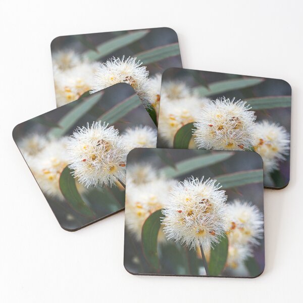 Item preview, White Cluster Of Eucalyptus Flowers designed and sold by Joy Watson - Natural Light Photography .