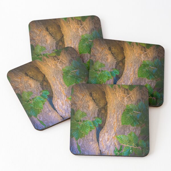 Item preview, Trunk Texture  designed and sold by Ralph Goldsmith.