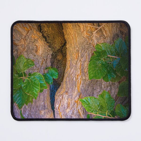 Item preview, Trunk Texture  designed and sold by Ralph Goldsmith.