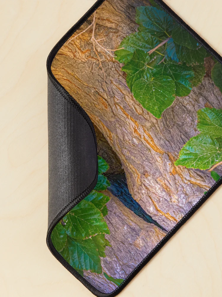 Thumbnail 2 of 5, Mouse Pad, Trunk Texture  designed and sold by Ralph Goldsmith.