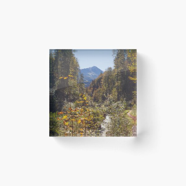 Item preview, Forest with Jenner in autumn, Berchtesgaden designed and sold by Torsten  Krüger.
