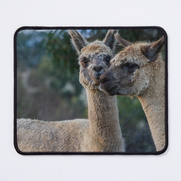 Item preview, Llama designed and sold by Dreamscape Eclectic .