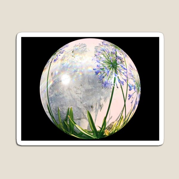 Item preview, Orbe de Agapanthus designed and sold by La.