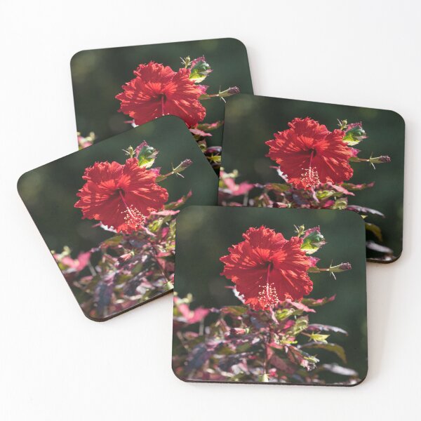 Item preview, Vibrant Red Hibiscus with Cool Variegated Foliage designed and sold by Georgia Mizuleva.