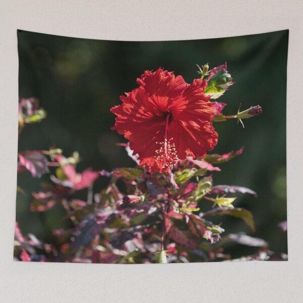 Item preview, Vibrant Red Hibiscus with Cool Variegated Foliage designed and sold by Georgia Mizuleva.
