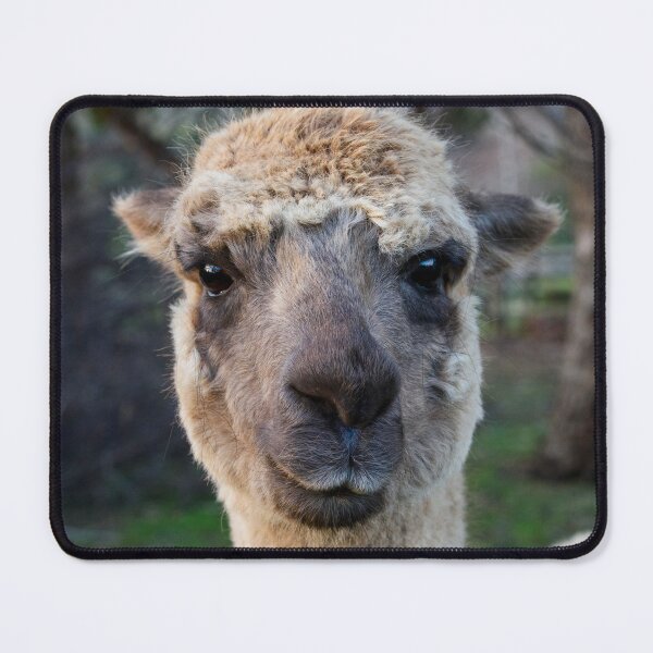 Item preview, Llama designed and sold by Dreamscape Eclectic .