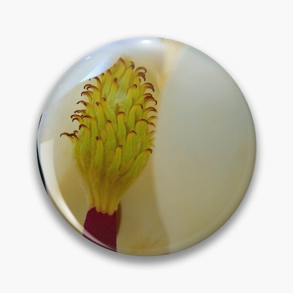 Item preview, Magnolia Bloom At The Osceola County Courthouse designed and sold by MercerImages.