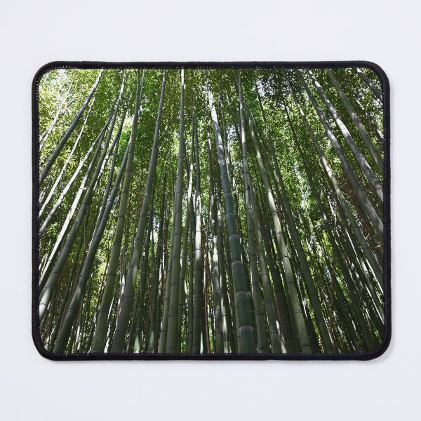 Item preview, Bamboo Grove designed and sold by Rocklights.