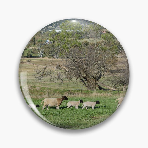 Item preview, Sheep of Harcourt designed and sold by Dreamscape Eclectic .