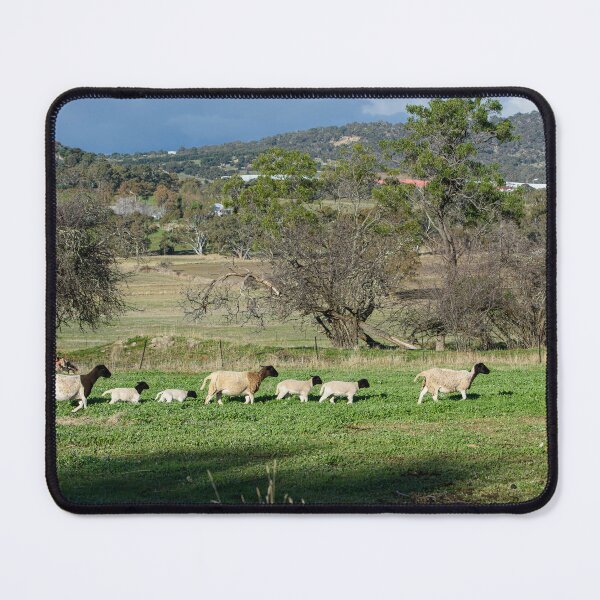 Item preview, Sheep of Harcourt designed and sold by Dreamscape Eclectic .