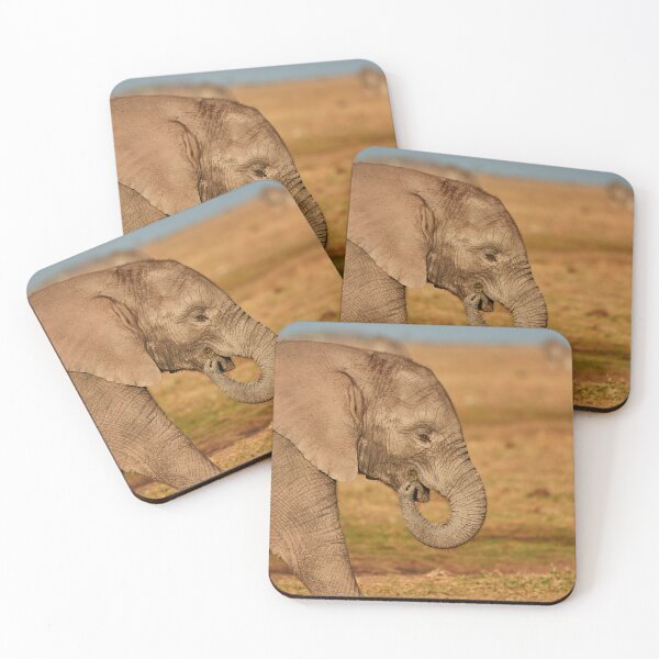 Item preview, Elephant IV designed and sold by Eidetic Photos.