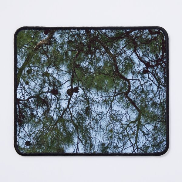 Item preview, Pine tree upward view, Skiathos 1 designed and sold by paulboizot.