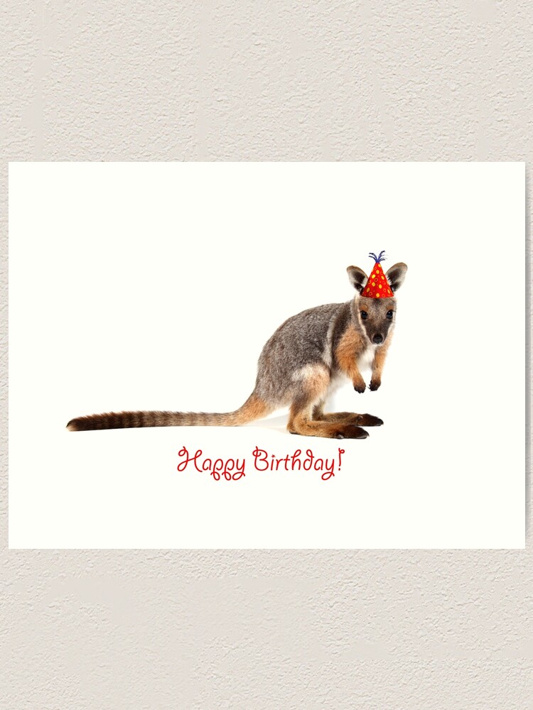 A Rock Wallaby Happy Birthday Art Print By Gerryp1 Redbubble