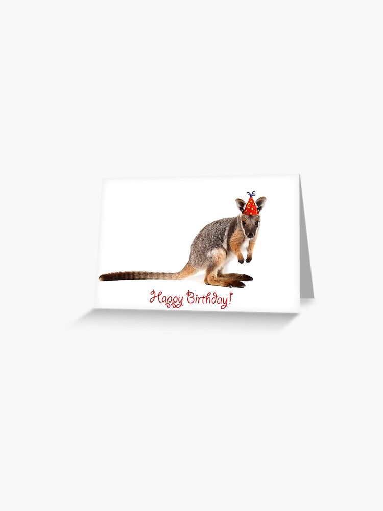 Carte De Vœux Un Joyeux Anniversaire Rock Wallaby Par Gerryp1 Redbubble