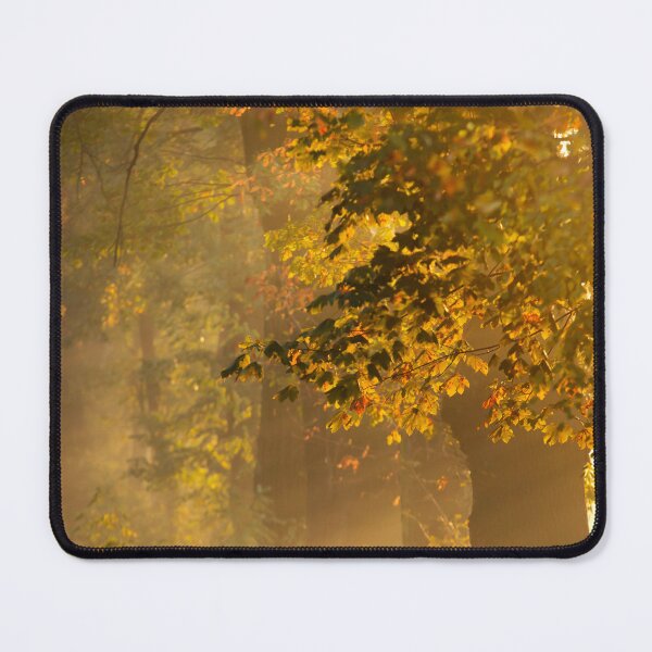Artikelvorschau, Herbstwald entworfen und verkauft von Catrinann.