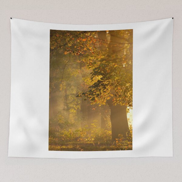 Item preview, Autumn forest designed and sold by Catrinann.