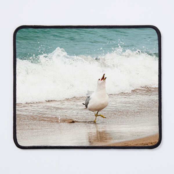 Item preview, Seagull on beach designed and sold by Jaleelah.