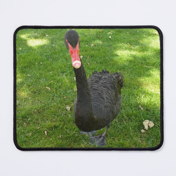Item preview, Black Swan designed and sold by KaSaPo.