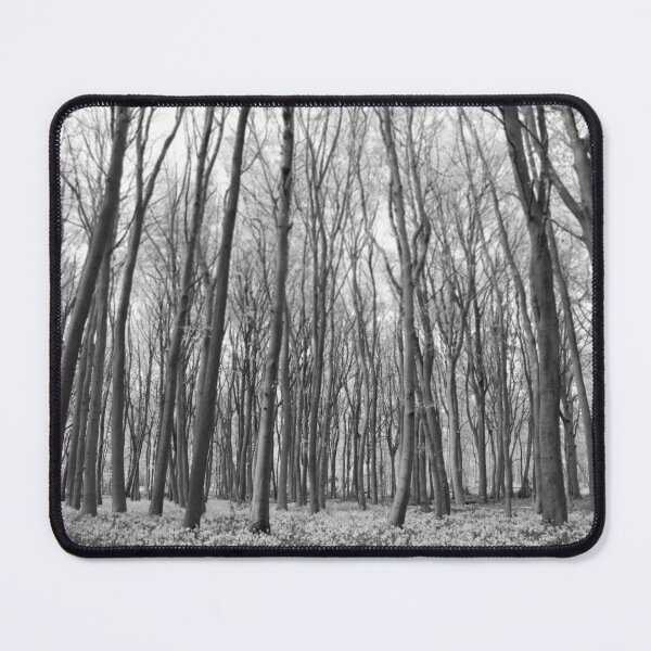Item preview, Black and White Bluebells in Berkshire designed and sold by Sbomber73.