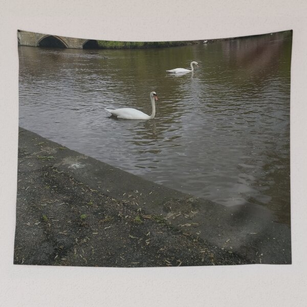 Item preview, #367 |☼| 2 Swimming Swans (Bakewell) designed and sold by Naean H.F. (Nez Man).
