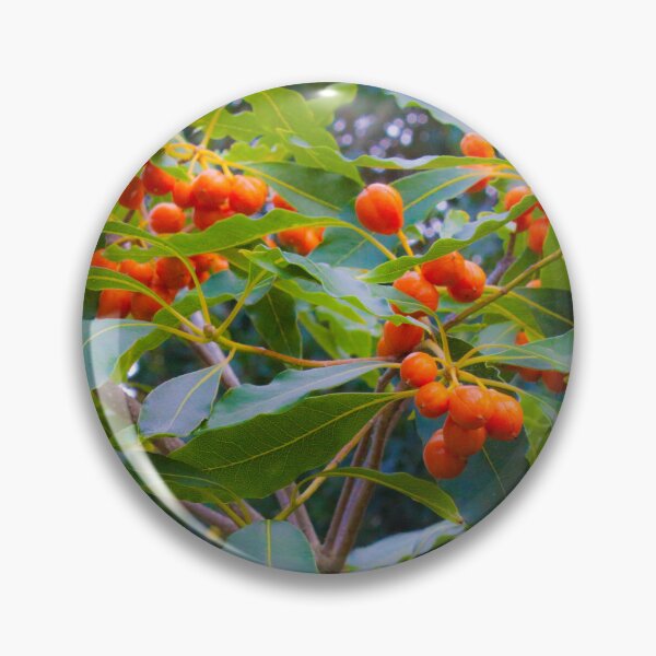 Item preview, fascinating nature designed and sold by Tereza Pilar  Art.