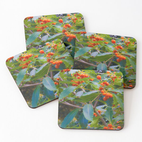 Item preview, fascinating nature designed and sold by Tereza Pilar  Art.