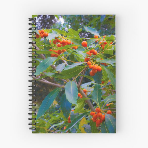 Item preview, fascinating nature designed and sold by Tereza Pilar  Art.