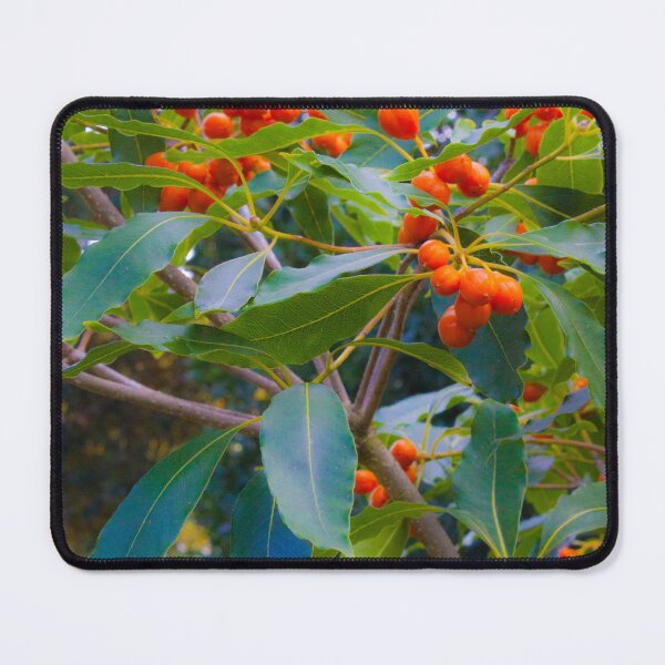 Item preview, fascinating nature designed and sold by Tereza Pilar  Art.