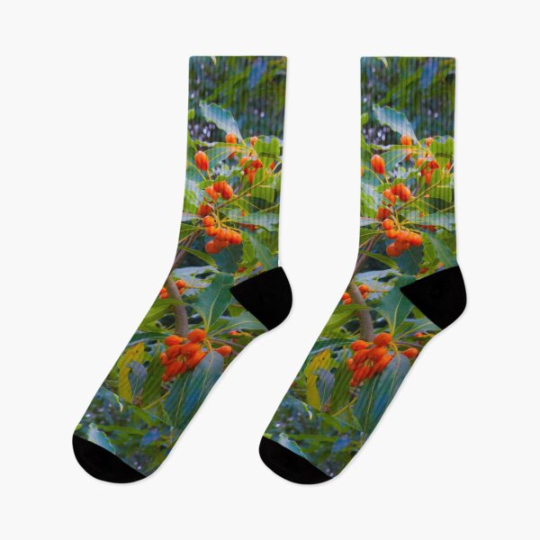 Item preview, fascinating nature designed and sold by Tereza Pilar  Art.