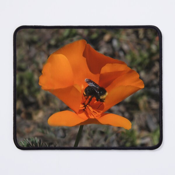 Item preview, Go Away, I Am Bizzy!! designed and sold by heatherfriedman.